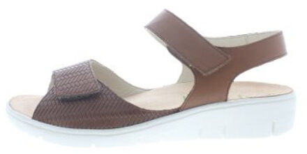 Solidus Honey h - maat 35,5 Klaproos