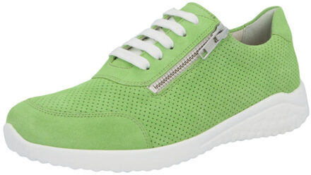 Solidus Hyle Groen - 42