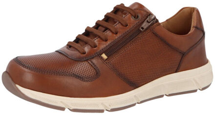 Solidus Kai Bruin - 39