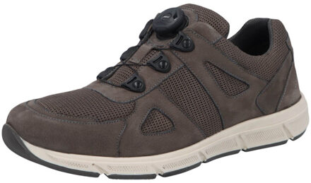 Solidus Kai Grijs - 47