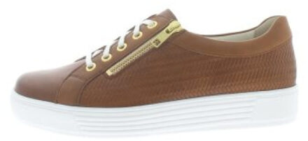 Solidus Kaja k Klaproos - 37,5