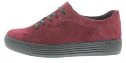 Solidus Kaja k Rood - 38