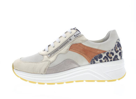 Solidus Karma Goud - 39,5