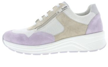 Solidus Karma k Paars - 42,5