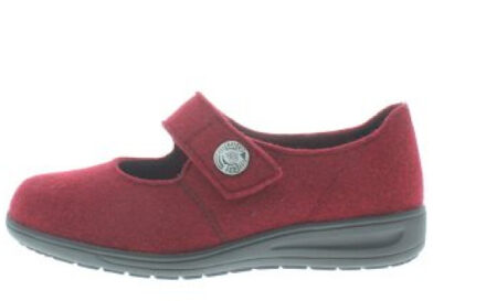 Solidus Kate k Rood - 36,5