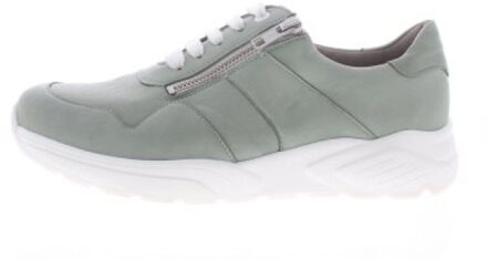 Solidus Kea k Groen - 41,5