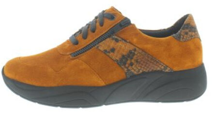 Solidus Kea k Veelkleurig - 35,5