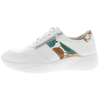 Solidus Kea k Veelkleurig - 38,5