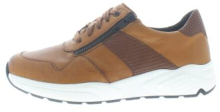 Solidus Kea k Veelkleurig - 43