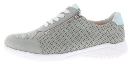 Solidus Kyle Groen - 39,5