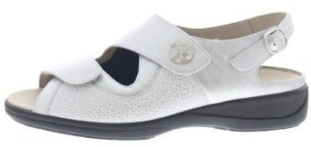 Solidus Lia Grijs - 40,5