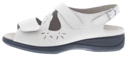 Solidus Lia Grijs - 40,5