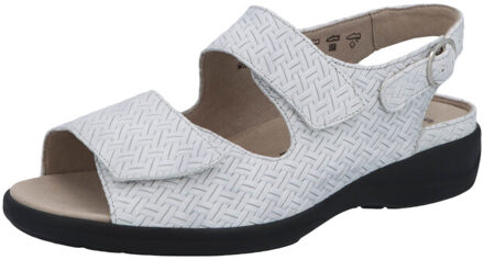 Solidus Lia Grijs - 42,5