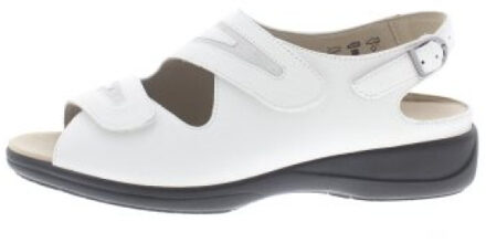 Solidus Lia h - maat 40,5 Veelkleurig