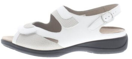 Solidus Lia h Wit - 42,5