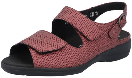 Solidus Lia Rood - 41,5