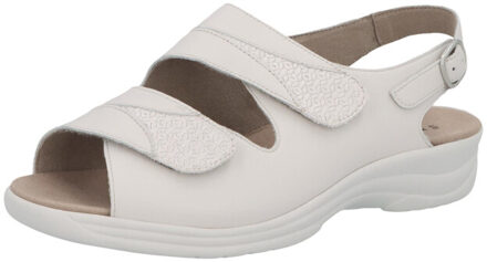 Solidus Moni Grijs - 42,5