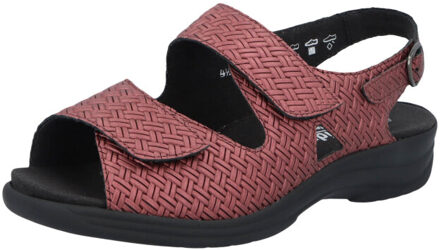 Solidus Moni - maat 40,5 Rood