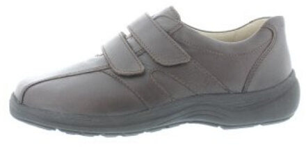 Solidus Natura k Bruin - 47,5