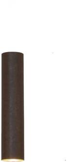 Solo Pipe plafondlamp in bruin-zwart bruinzwart, bladgoud