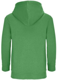 Sols Kinderen/Kinderen Connor Hoodie (Kelly Groen) - maat 4J / 104cm