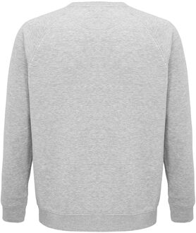 Sols Unisex Adult Space Organic Raglan Sweatshirt (Grijze Mergel) Grijs