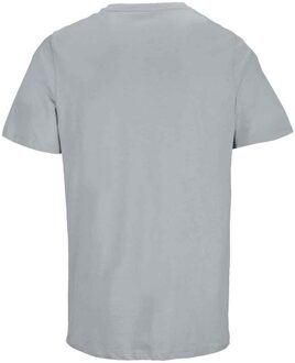 Sols Unisex Volwassen Legend Organic T-Shirt (Puur Grijs) - 3XL