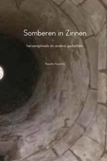 Somberen in Zinnen - Boek Rosetta Kooistra (940215034X)