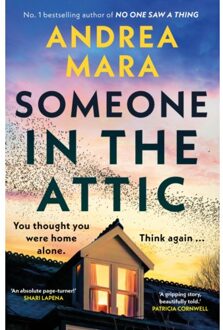 Someone In The Attic - Andrea Mara