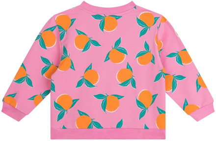 Someone meisjes sweater Rose - 116