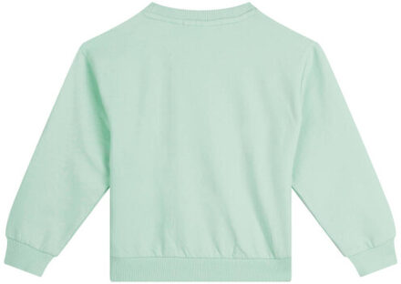 Someone Sweat rien-sg-16-c Groen - 116