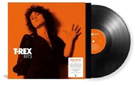 Songwriter: 1973 - T. Rex