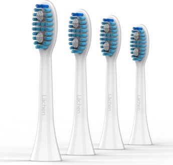 Sonic Elektrische Tandenborstel Usb/Eu Oplaadbare Orale Volwassen Tand Borstels Met 4Pcs Dupont Vervanging Heads Voor Ru S121-WH
