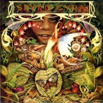 Sony Morning Dance - Spyro Gyra