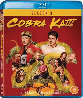 Sony Pictures Cobra Kai - Seasons 03