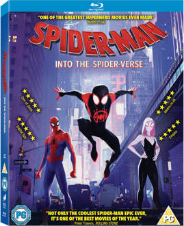 Sony Pictures Spider-Man: Into The Spider-Verse