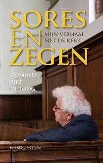 Sores en zegen - eBook Piet de Jong (902395419X)