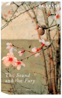 Sound and the Fury - Boek William Faulkner (0099475014)