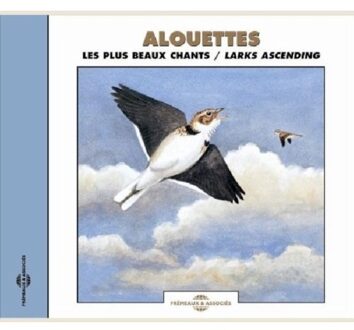 Sounds of Nature: Larks Ascending