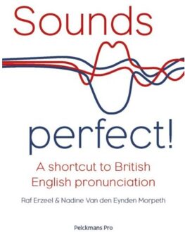 Sounds perfect! - Boek Raf Erzeel (9463370463)