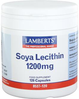 Soya Lecithin 1200 mg - 120 Capsules - Voedingssupplement