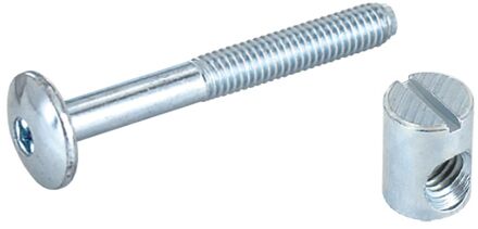 Spaanplaatschroef Verzinkt Bolkop Torx - 6x50mm - 4 Stuks