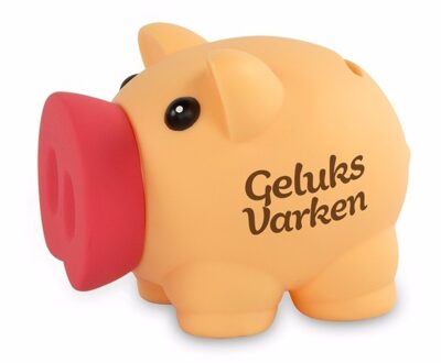 Spaarpot varken geluksvarken - Spaarpotten Multikleur