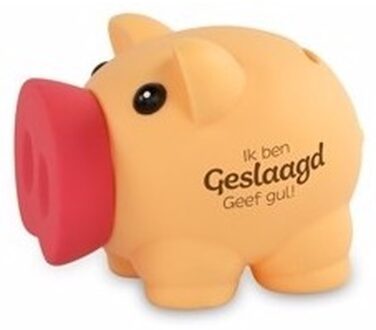 Spaarvarken Diploma geslaagd thema - 10 x 9 cm - kunststof - cadeau - afgestudeerd