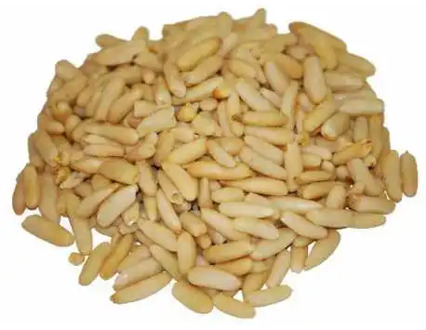 Spanish pine nut 100 G