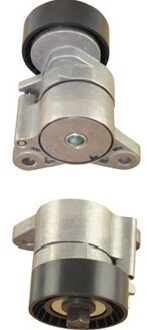 Spanrol Poelie DTP5511