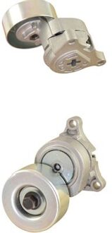 Spanrol Poelie DTP8001