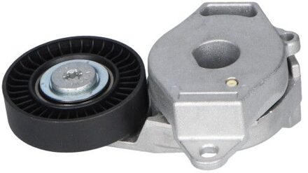 Spanrol Poelie DTP9046