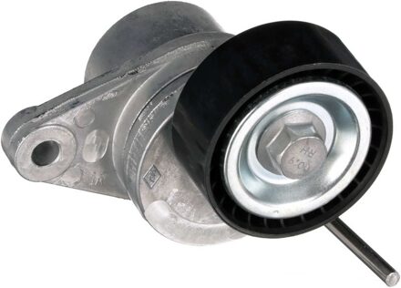 Spanrol, Poly V-riem DriveAlign® T39163