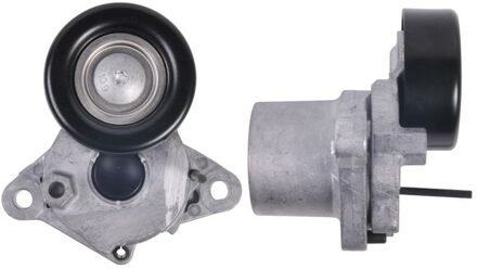 Spanrol, Poly V-riem